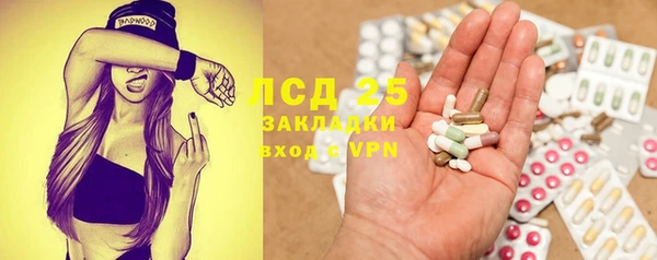 прущие грибы Абдулино