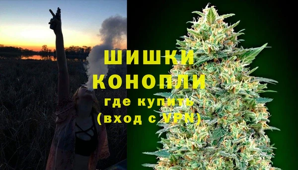 прущие грибы Абдулино