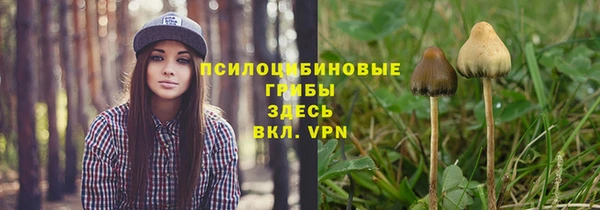 трава Абинск