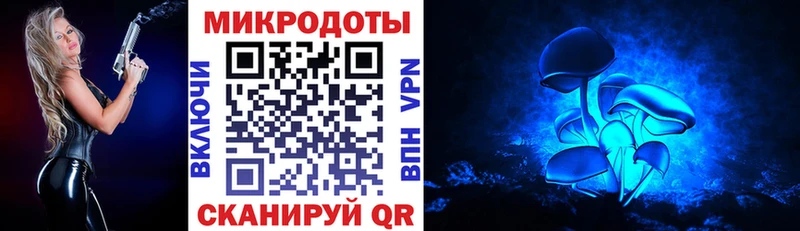 Псилоцибиновые грибы мицелий Сясьстрой