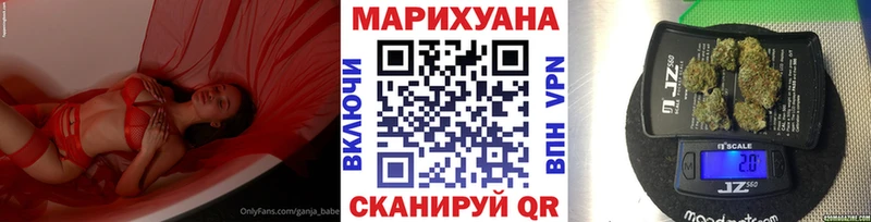 купить  цена  Сясьстрой  Бошки марихуана сатива 